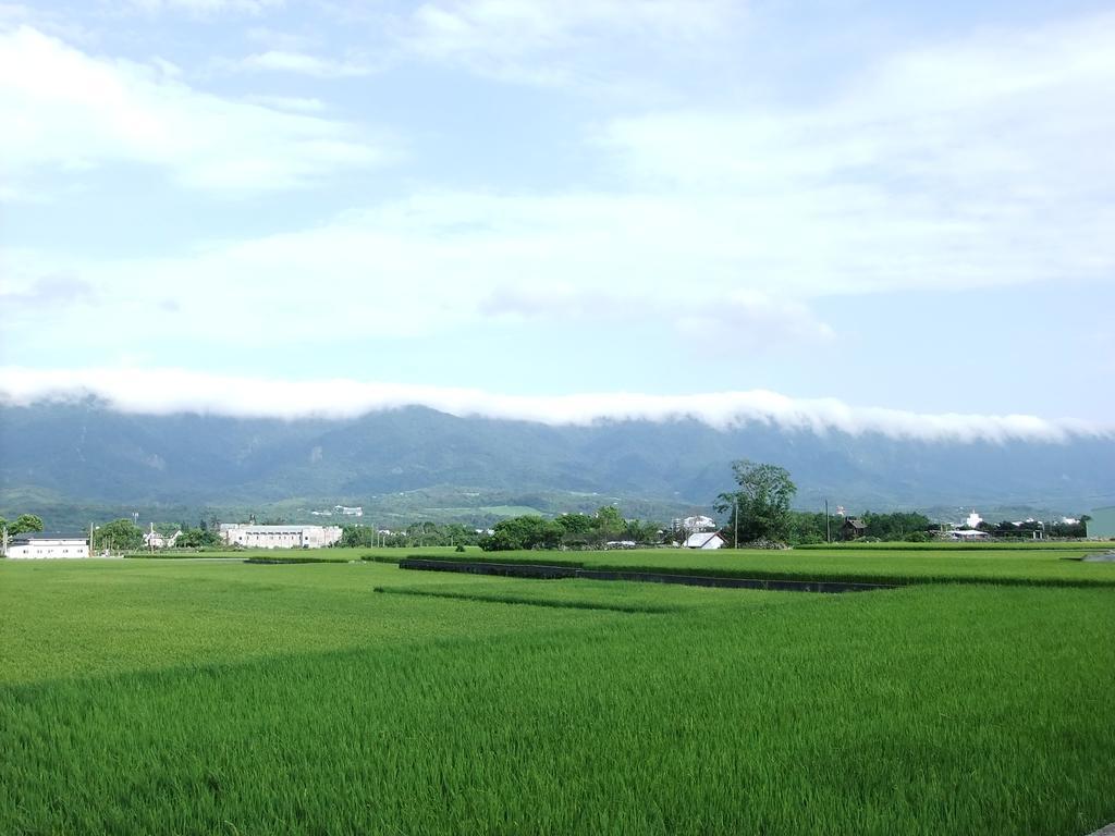 池上福吉園素食民宿 臺東縣民宿073號 請勿透過阿勾達訂房 Bagian luar foto